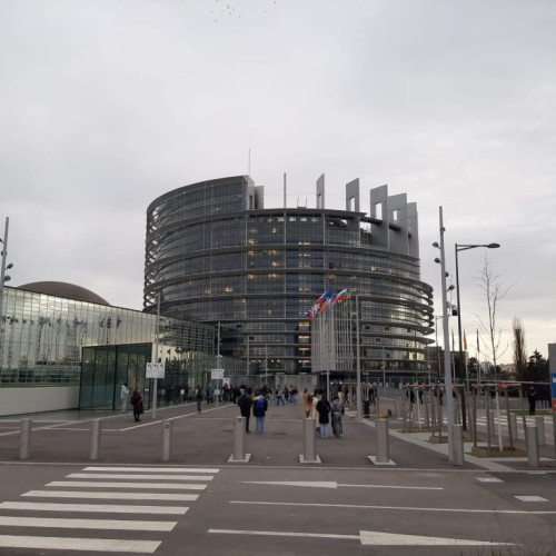 Roxana Minzatu va fi votată astăzi ca comisar european