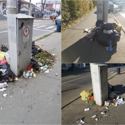 Probleme cu colectarea gunoiului în zonă