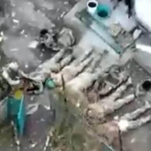 Ucraina acuză Rusia de execuția a cinci soldați ucraineni