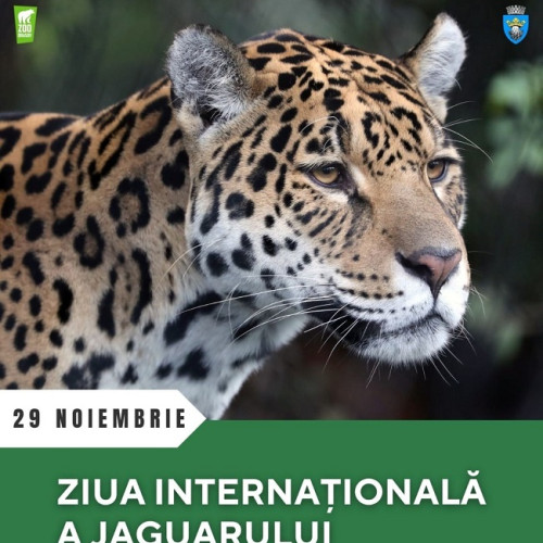 Ziua Internațională a Jaguarului la Grădina Zoologică Brașov