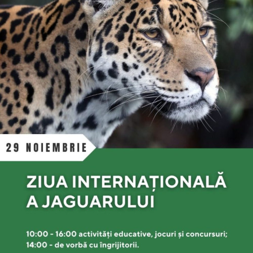 Ziua Internațională a Jaguarului la Grădina Zoologică Brașov