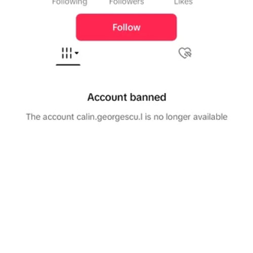 Calin Georgescu, candidatul din turul doi, interzis pe TikTok