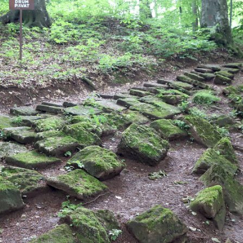 Ancheta în urma vandalizării cetății dacice Piatra Roșie din Hunedoara