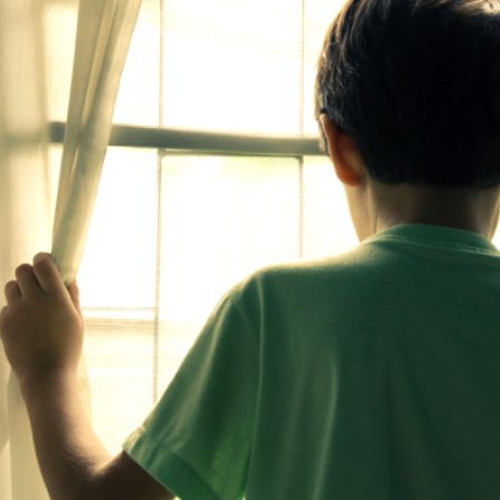 Monitorizarea copiilor cu părinți plecați la muncă în străinătate, în Deva