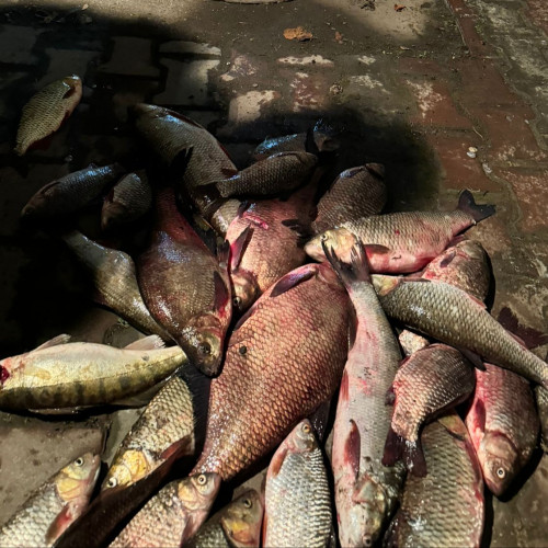 Poliția din Porumbacu de Jos investighează pescuitul ilegal în zona Colun