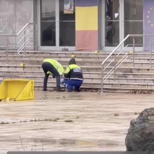 Decizia instanței în cazul Apostol Gheorghe Catalin și Sanginesi Katia