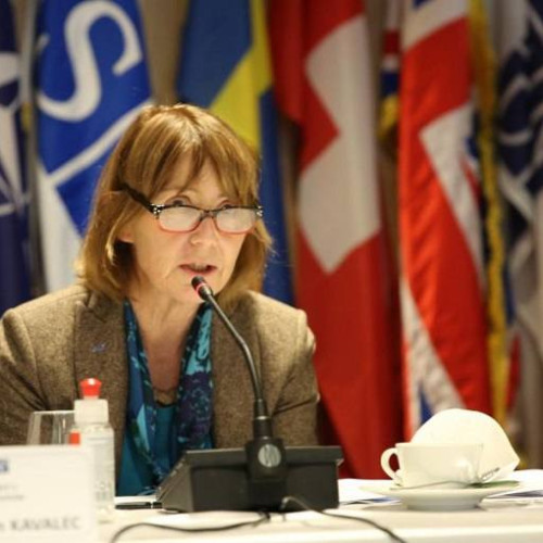 Ambasadorul SUA la București, Kathleen Kavalec, vorbește despre alegerile din România și importanța parteneriatului transatlantic