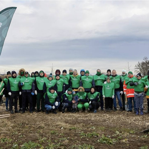 Plantare de arbori în comuna Brezoaele, județul Dâmbovița