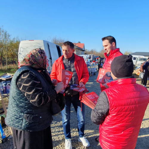 PSD lansează programe pentru tineri și familiile din diaspora