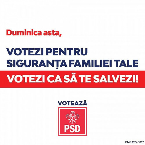Echipa PSD Satu Mare se implică activ în comunitate