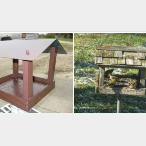 Atelier pentru copii: Construiește hranitoare pentru păsări în Oradea