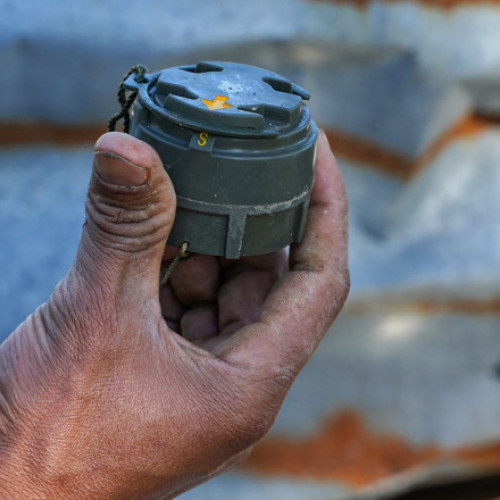 Finlanda reconsideră utilizarea minelor antipersonal