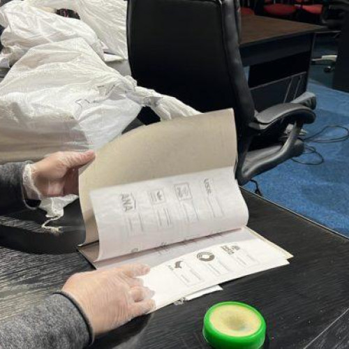 Renumărarea voturilor în Botoșani pentru alegerile prezidențiale