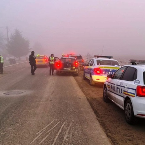 Percheziții în Hârșova: șapte persoane reținute pentru infracțiuni violente