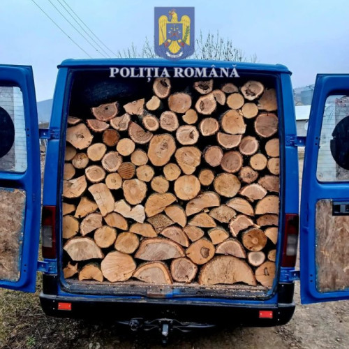 Poliția descoperă nereguli în traficul de lemne