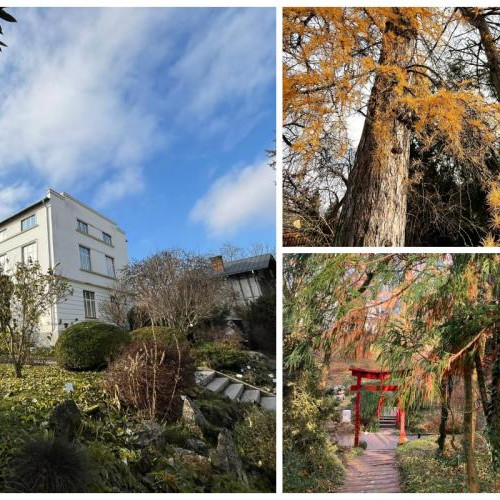 Portile Gradinii Botanice "Alexandru Borza" se deschid in acest weekend!