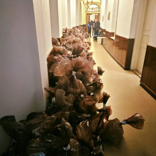 Tribunalul Ilfov admite contestația EFOR privind accesul observatorilor la renumărarea voturilor