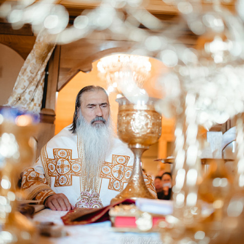 Programul Arhiepiscopului Teodosie