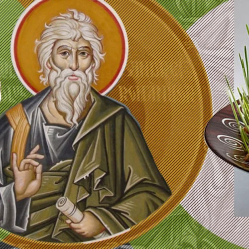 Sărbătoarea Sfantului Andrei, ocrotitorul României