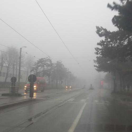 Ceata persista in Botosani, avertizari meteorologice in vigoare