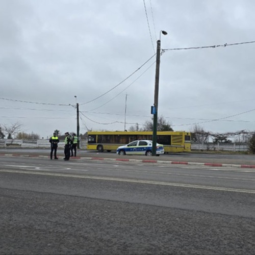 Filtre rutiere instalate la intrările din municipiul Constanța