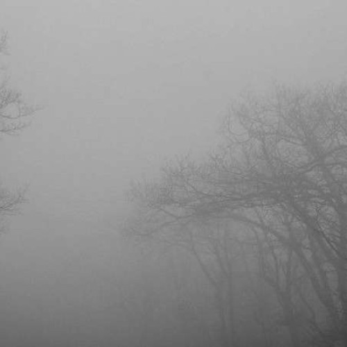 Ceată densă așteptată în Bacău în noaptea de 30 noiembrie spre 1 decembrie