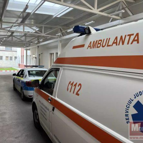 Tragicul incident de la sectia de votare din comuna Stoienesti