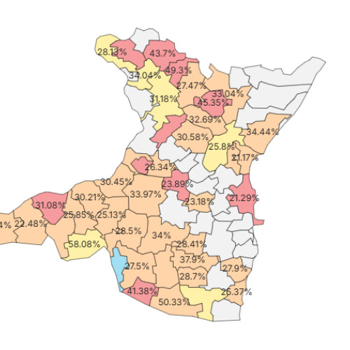 Situația alegerilor parlamentare din județul Constanța