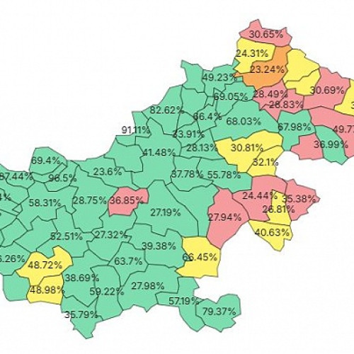 UDMR câștigă detașat alegerile parlamentare în Satu Mare