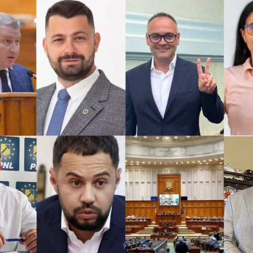 Rezultate alegeri parlamentare 2024 în județul Alba