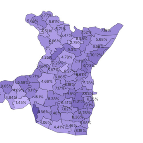 Rezultatele obținute de POT Constanța la Camera Deputaților