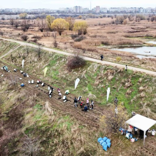1.200 de puieți de arbori plantați în Parcul Natural Vacaresti