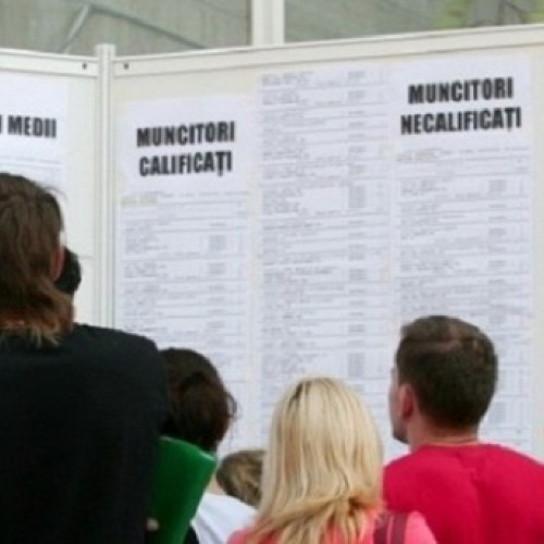 Rata șomajului a scăzut în octombrie 2024