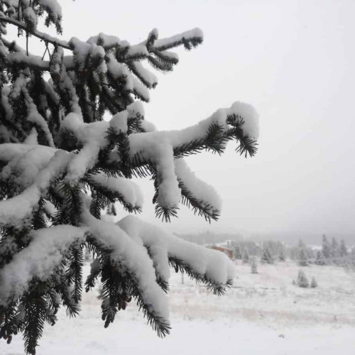 Vremea în Transilvania și în țară până pe 15 decembrie