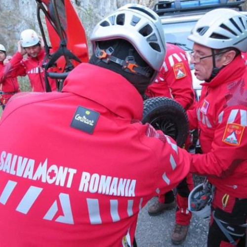 Accident în pădure: Intervenție a echipelor de salvare în Negrilești