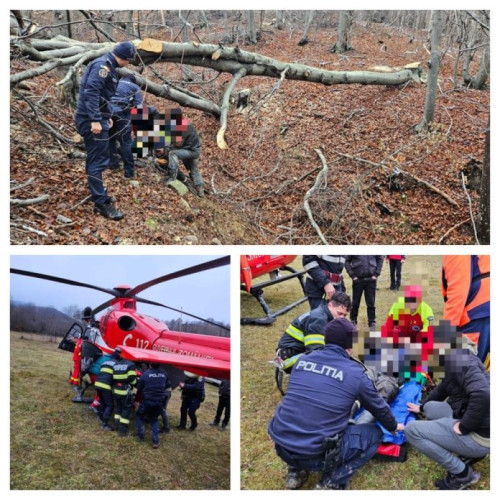 Bărbat rănit după ce un copac s-a prăbușit peste el, transportat cu elicopterul la spital