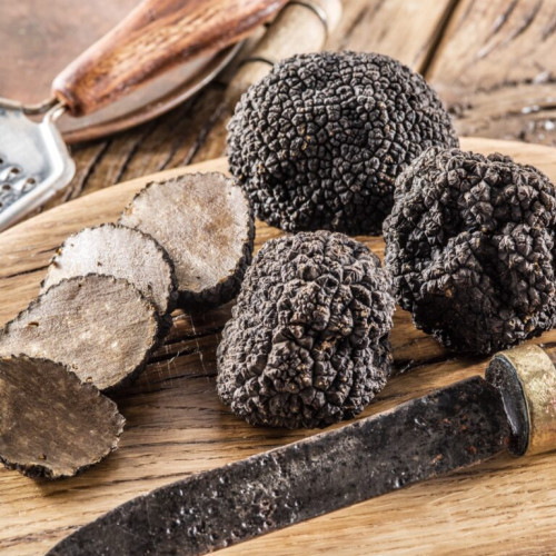 Risc de dispariție pentru trufele românești din cauza braconajului