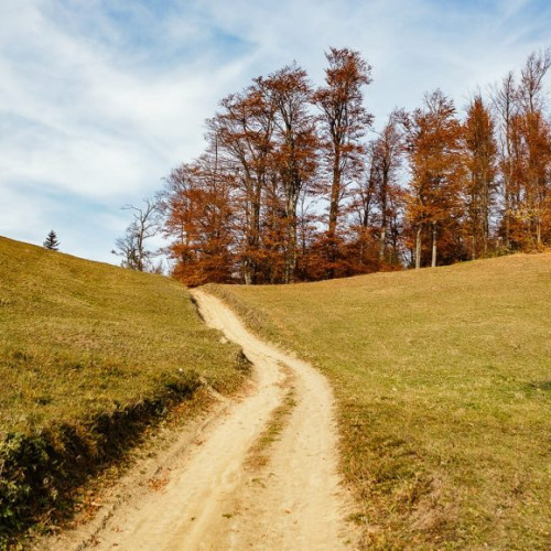 Prognoza meteorologică pentru primele două săptămâni din decembrie