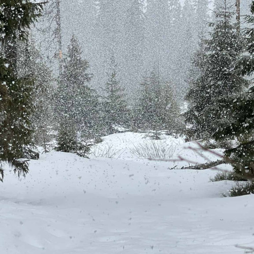 Vremea de Crăciun și Revelion în România