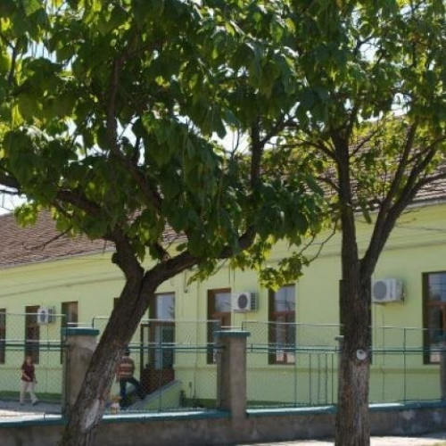 Termene Limite pentru Depunerea Cererilor la Direcția de Asistență Socială