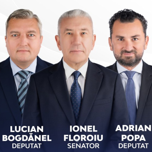 Situația distribuției mandatelor la alegerile parlamentare din Bacău