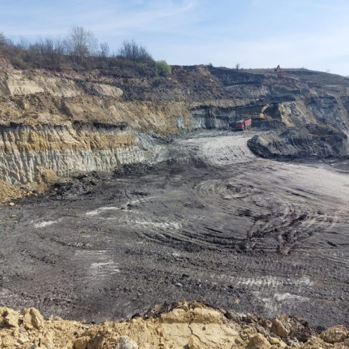 Manu Tomescu semnalează din nou problemele de la CE Oltenia