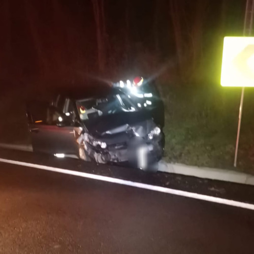 Accident rutier pe E 58, în apropierea pădurii Lebăda