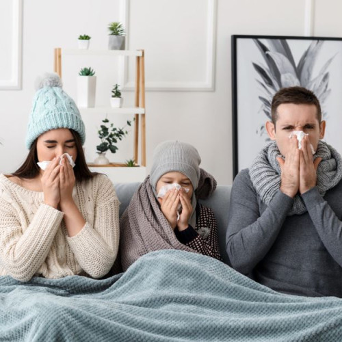 Alergiile de interior cresc în sezonul rece: Cum ne putem proteja