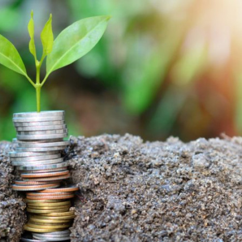 A fost autorizată plata pentru 15.737 fermieri