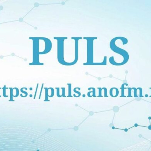 PULS, Noua Platformă de Livrare a Serviciilor pentru Ocuparea Forței de Muncă în România