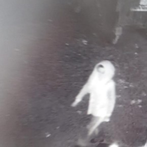 Femeie din Botoșani amendată cu 800 de lei pentru abandon de deșeuri