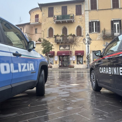 Poliția italiană a arestat 12 susținători ai suprematiei albilor