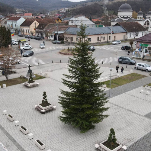 Brad de Crăciun de aproape 10 metri, montat în Ocna Mureș cu ocazia sărbătorilor de iarnă