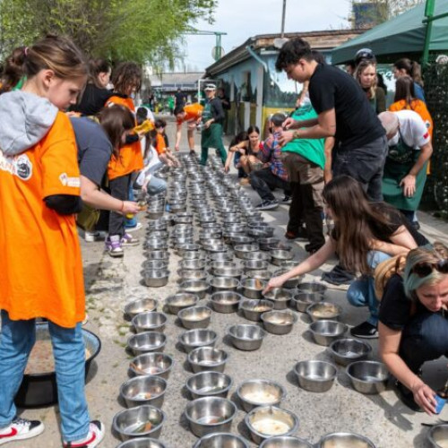 Adăpostul Speranța organizează ultima ediție a evenimentului „Tocănița pentru toți Bobița”